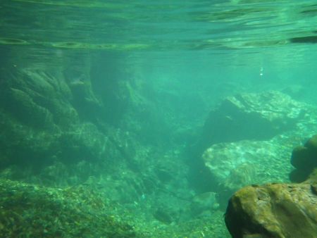 水中を撮影してみたけどブルーというよりグリーンかな！？