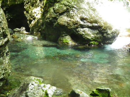 少しだけどここで大峰ブルーを見ることができた