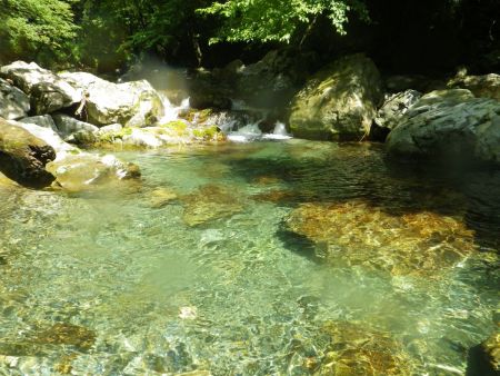 透き通った水でやはり綺麗だ。沢に入りたいけど、やはり体が冷えるので出来る限り入らないようにして遡行した