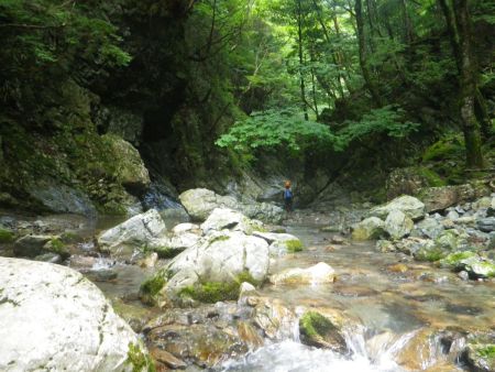 どんどん遡行して釜滝を目指していく。写真を撮りたいので少し後ろを歩いていた