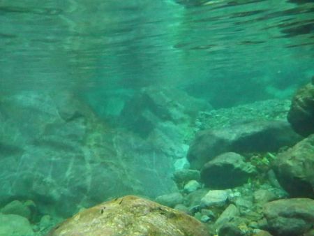 大峰ブルーになっているところを水中を撮影したけど、やはりブルーではなかった