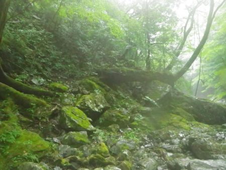 入渓ポイントまで戻ってきた。雨が本降りになってガスってきた。雷がなってなくてよかった
