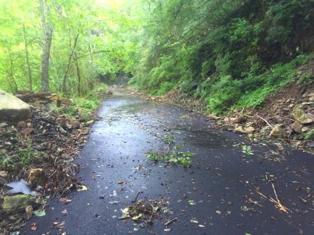 林道は10分ほど歩く