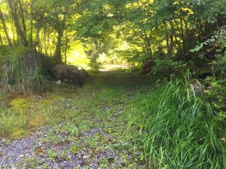 この先に橋まで歩く