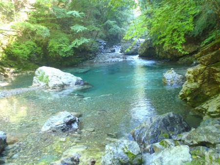 入渓ポイントは大峰ブルーでした