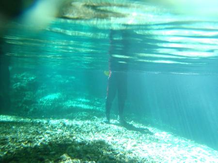 底から移してもこの透明度