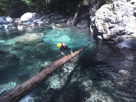 ブルーに浮かぶひでぶ～さん