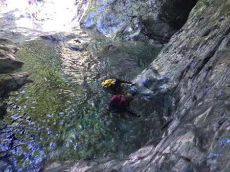 上下からS嬢ひっぱる