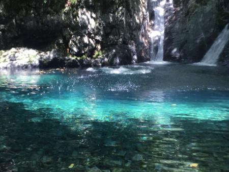 飛び込んだ瞬間は撮影できませんでしたが、ドボンッした瞬間は撮影できました