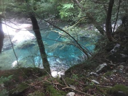 入渓したポイントのところから近かった模様