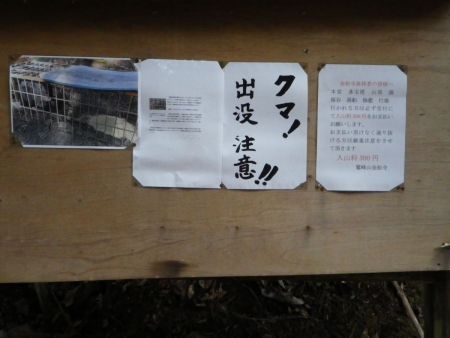 クマ出没注意と大きく書かれているけど、おそらく冬眠するのに迷い込んだ熊のような気がする