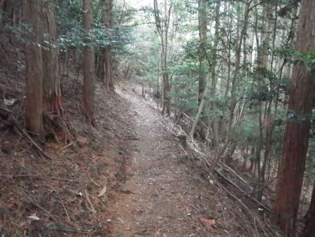 まずはなだらかな登山道が続く。事前に調査して地図を見ると相当な下りがこの先にあるはず