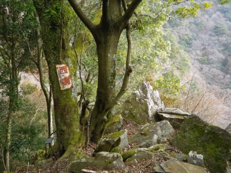 西覗という古い看板があった。とにかくものすごい急斜面の下りなんだけど、問題は落ち葉でかなり滑りやすい