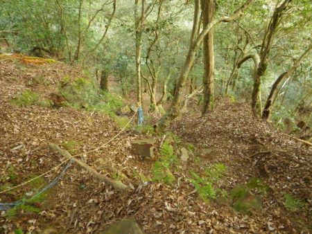 画像ではわかりにくいんだけど、ものすごい斜面の下りになっている。とにかく落ち葉で滑らないように足に力を入れて下っていった