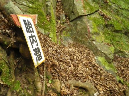 胎内潜という看板があるけど、事前に調査したらトンネルらしきものがあるはず