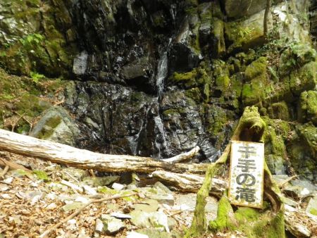 いよいよ沢まで下って千手の滝に到着した。ここで膝が笑っていたので大休憩をとった