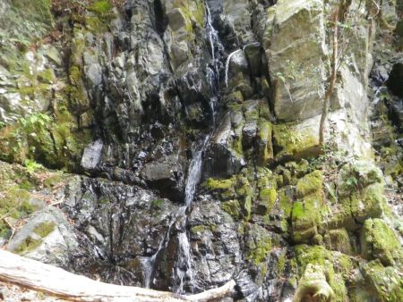 わずかに凍っている千手の滝だけど、まあ氷瀑といえるほどでもない