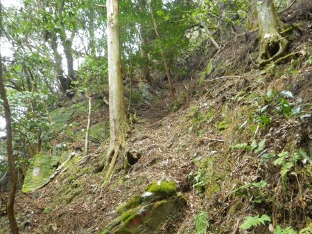 五光の滝から沢を渡って、さらに沢を渡ると今度は本格的な登りがはじまる