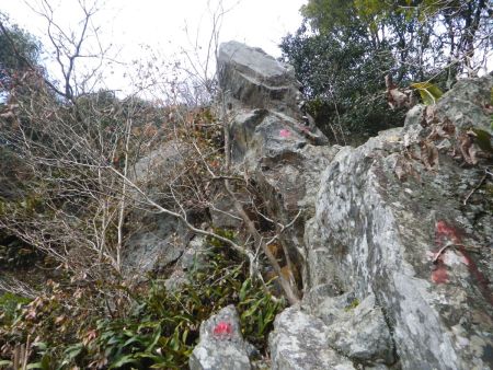 とにかく下ってきた分、ほとんどが岩場の急登が続いて息切れ状態になった。やっぱり呼吸器は完全に治ってないんだよね