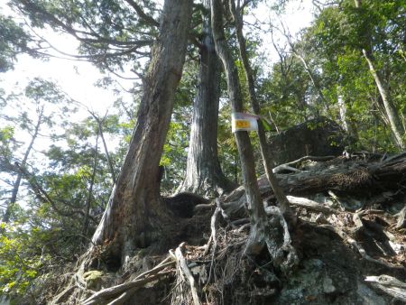 ここで左に行くと展望台に行けるみたいだけど景色を見ると霞んでいたのでもう展望はさっきのでいいと思った