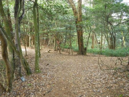 行場の辻に戻ってきた。ここで最後の大休憩をとった。ここから金胎寺の境内までが、なんか長く感じたんだよね