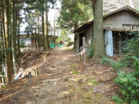 金胎寺の境内まで戻ってきた。本当なら２時間程度のコースらしいけど今回はその1.5倍の時間がかかった。大休憩を入れるともう少し時間がかかったけど、まあ無事戻ってこれたのでいいかな