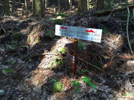 ここからスタート。まずはルート的にも兜岳を目指す