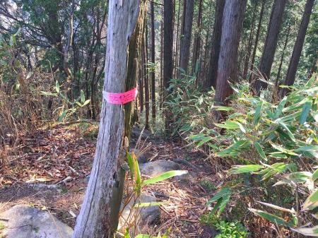 「頂上もうすこし」と書いてあるが、ここから一旦下って、さらに前方に見えてるピークをみるとそうも思えなかった