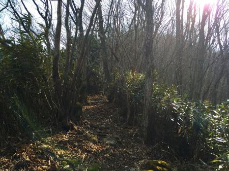 心臓バクバク状態でもうひとつもり上がったところのピーク。ここからラストスパート