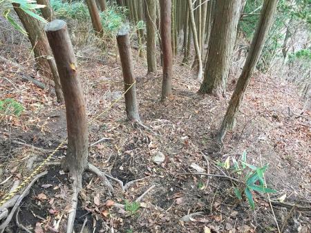 戻っていくが最初の急斜面の下り。これ降りるのも大変だった