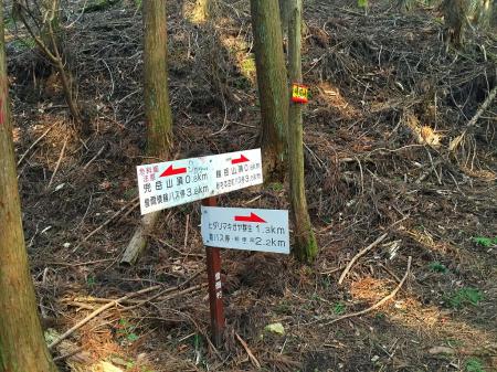 あの急斜面の下りでも峰坂峠に戻り休憩した