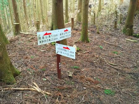 一旦少し下ったところに下山時のルートがあった。今歩いてたのは最初の写真の中央部分もり上がった場所だと思わる