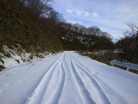 林道を歩いていく。轍があるけど途中で途切れていた