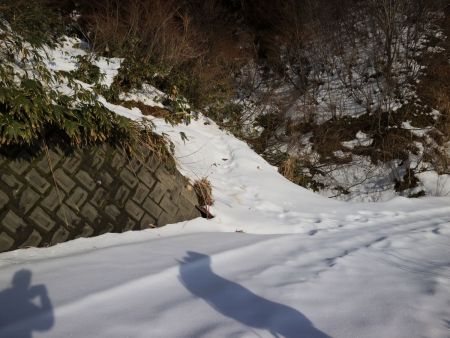 ここが登山口。ここから入山して尾根に出る