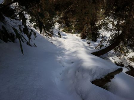 尾根に出るまでがズボズボとハマるしちょっと急登。たかだか標高50mほどなんだけど時間がかかった