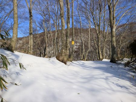 尾根に出た。雪がなかったらすぐに登れたんだろうけどね