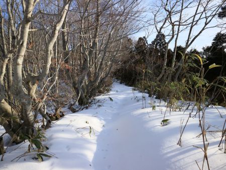 尾根はトレースなんかないけどしばらくは雪が固まっていて比較的歩きやすかった
