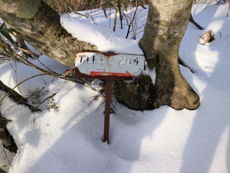 頂上まで20分？25分？と記載されていたけど、この雪の状態だともっとかかりそう