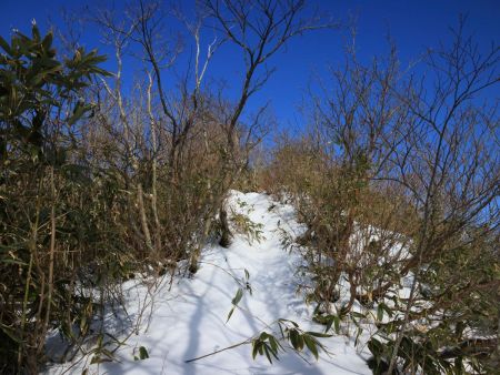 頂上へ向かって登っていくけど、もはやプチラッセル状態が続いて登りに時間がかかった
