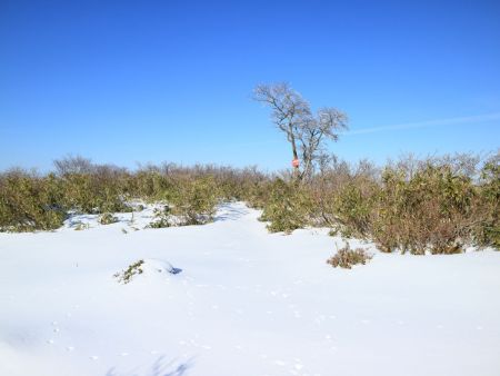 金糞岳山頂に到着。結構山頂は広かった