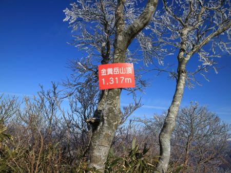 こっちの看板はちゃんと1317mと記載されている