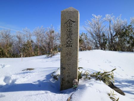 せっかくなので雪村あおいちゃんを撮影しておいた。なんかうまく立たないし雪がついちゃった
