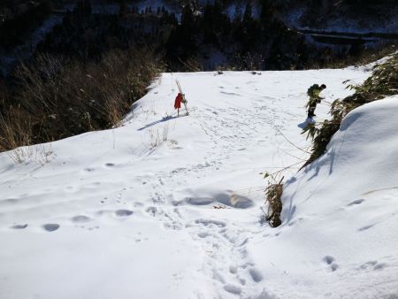 林道（登山口）まで下りてきた。ここから駐車場所まで戻るのが結構長かった