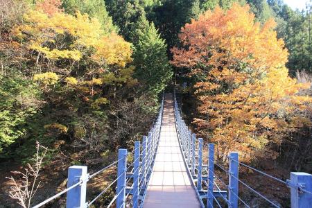 つり橋を渡る