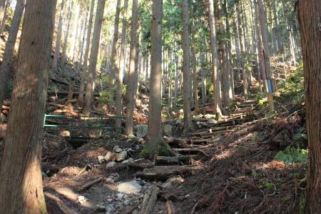 ここを登っていく