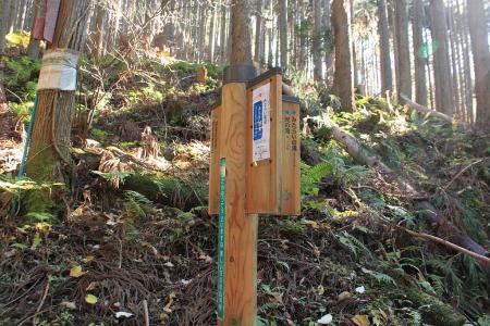 左にいくと光の滝～みたらい渓谷