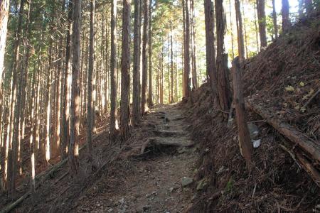 続いて進んでいく