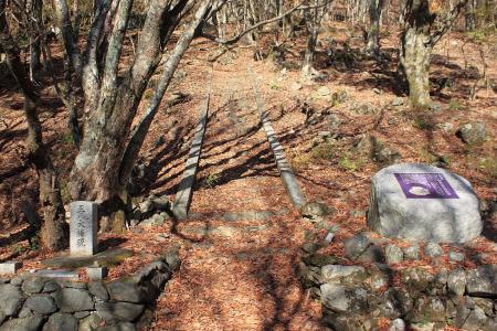 この階段を登る