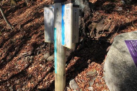 観音の岩屋との分岐。100mなのでとりあえずいってみる