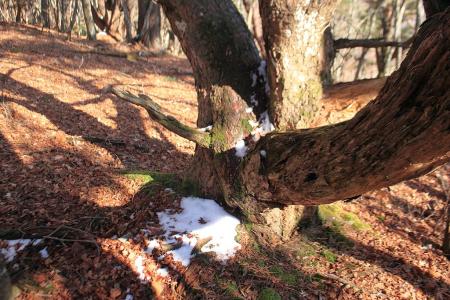 ところどころに雪がある